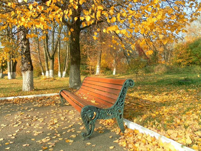 Качественные скамейки
